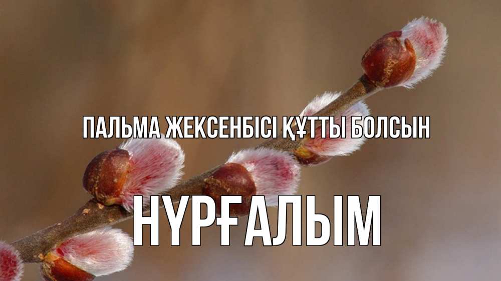 Күн сайын ашық хат с именем, НҮРҒАЛЫМ Пальма жексенбісі құтты болсын верба Онлайн тегін жүктеп алу тілектері бар керемет карта 