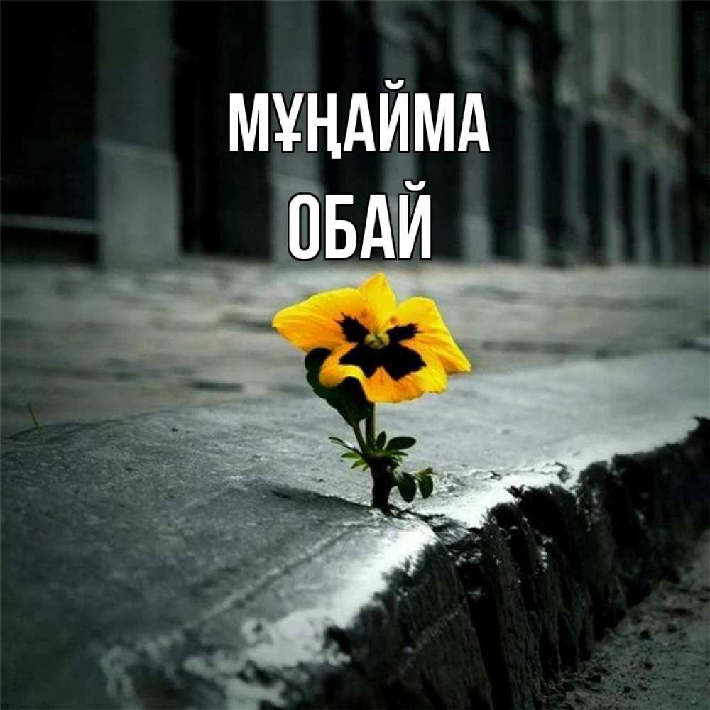 Күн сайын ашық хат с именем, ОБАЙ Мұңайма не сдавайся Онлайн тегін жүктеп алу тілектері бар керемет карта 