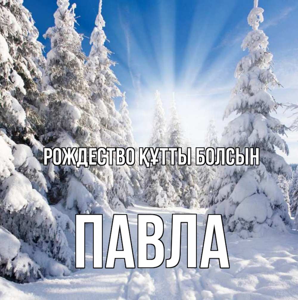 Күн сайын ашық хат с именем, Павла Рождество құтты болсын зима, лес Онлайн тегін жүктеп алу тілектері бар керемет карта 