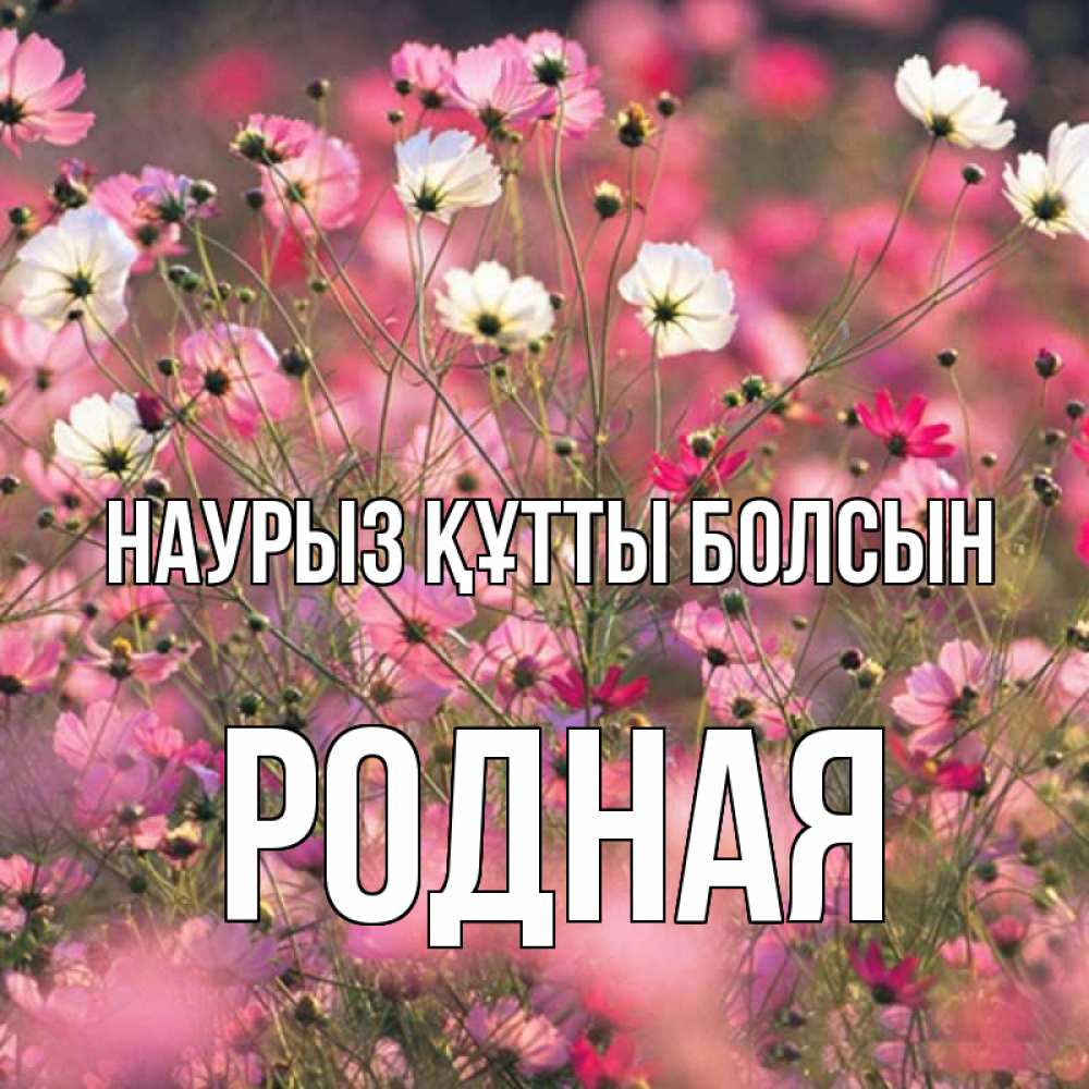 Күн сайын ашық хат с именем, Родная Наурыз құтты болсын красиво 1 Онлайн тегін жүктеп алу тілектері бар керемет карта 