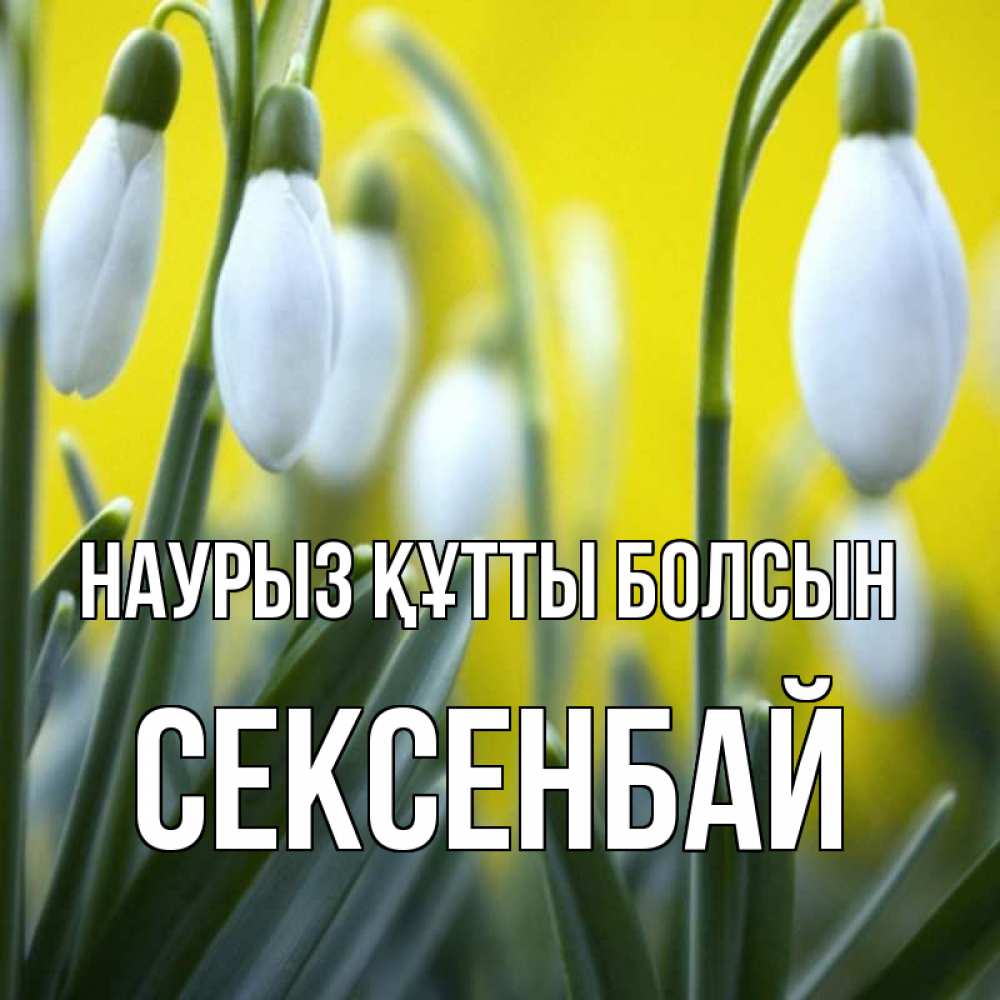 Күн сайын ашық хат с именем, СЕКСЕНБАЙ Наурыз құтты болсын весенние цветы Онлайн тегін жүктеп алу тілектері бар керемет карта 
