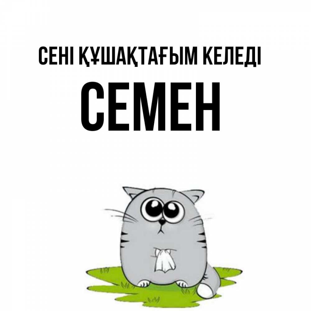 Күн сайын ашық хат с именем, Семен сені құшақтағым келеді котик теребит платочек сидя на травке Онлайн тегін жүктеп алу тілектері бар керемет карта 