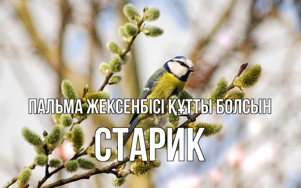 Күн сайын ашық хат с именем, Старик Пальма жексенбісі құтты болсын верба Онлайн тегін жүктеп алу тілектері бар керемет карта 