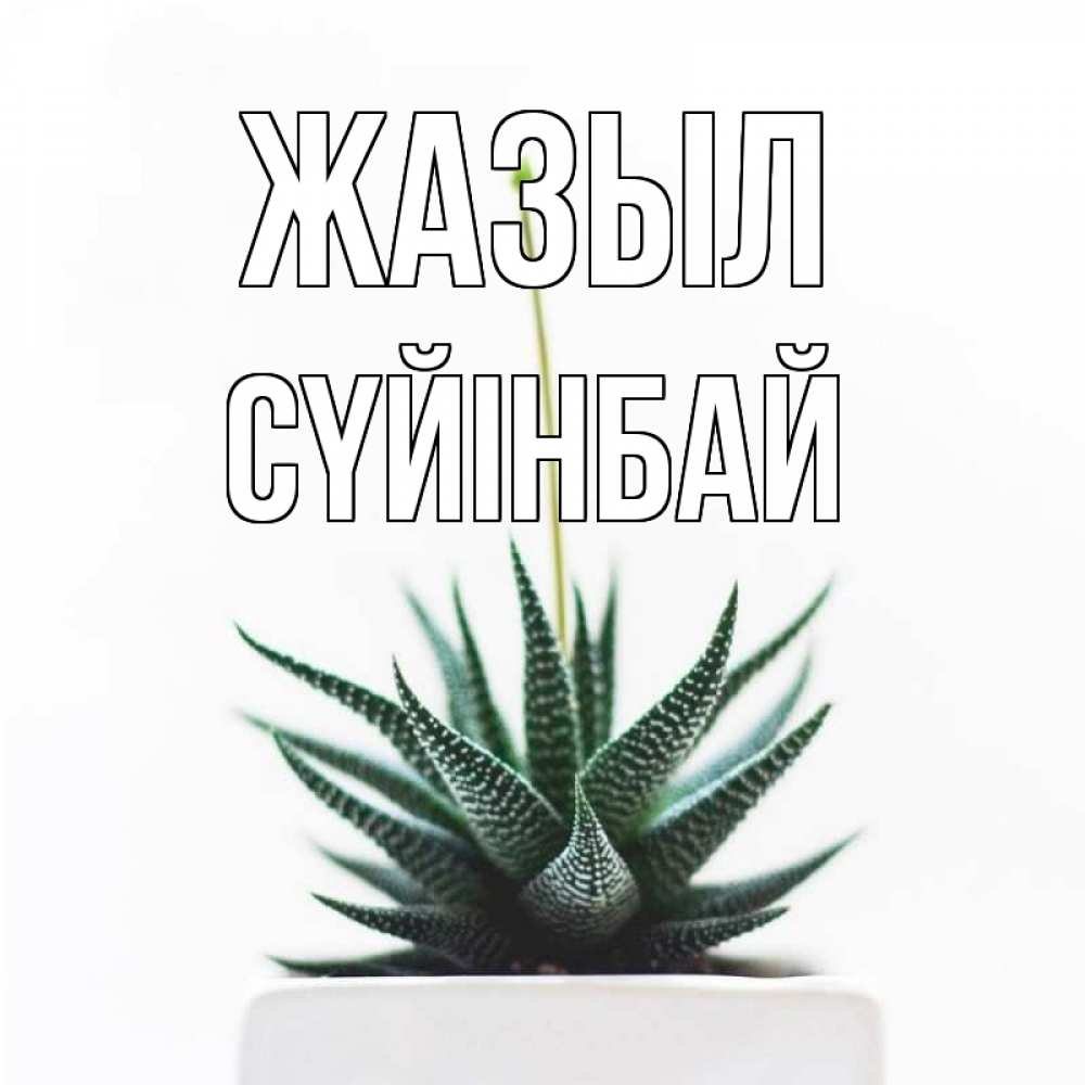Күн сайын ашық хат с именем, СҮЙІНБАЙ Жазыл короче это непонятная колючка Онлайн тегін жүктеп алу тілектері бар керемет карта 