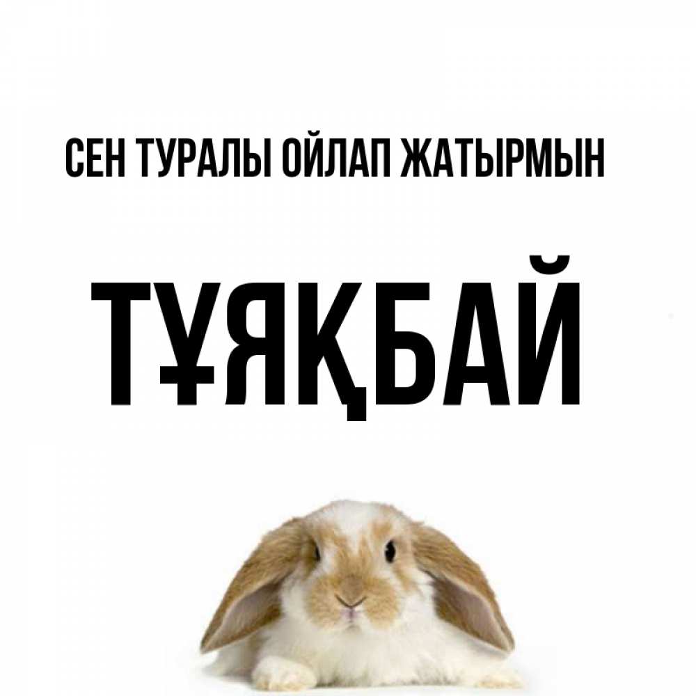 Күн сайын ашық хат с именем, ТҰЯҚБАЙ Сен туралы ойлап жатырмын подписать своими руками онлайн Онлайн тегін жүктеп алу тілектері бар керемет карта 