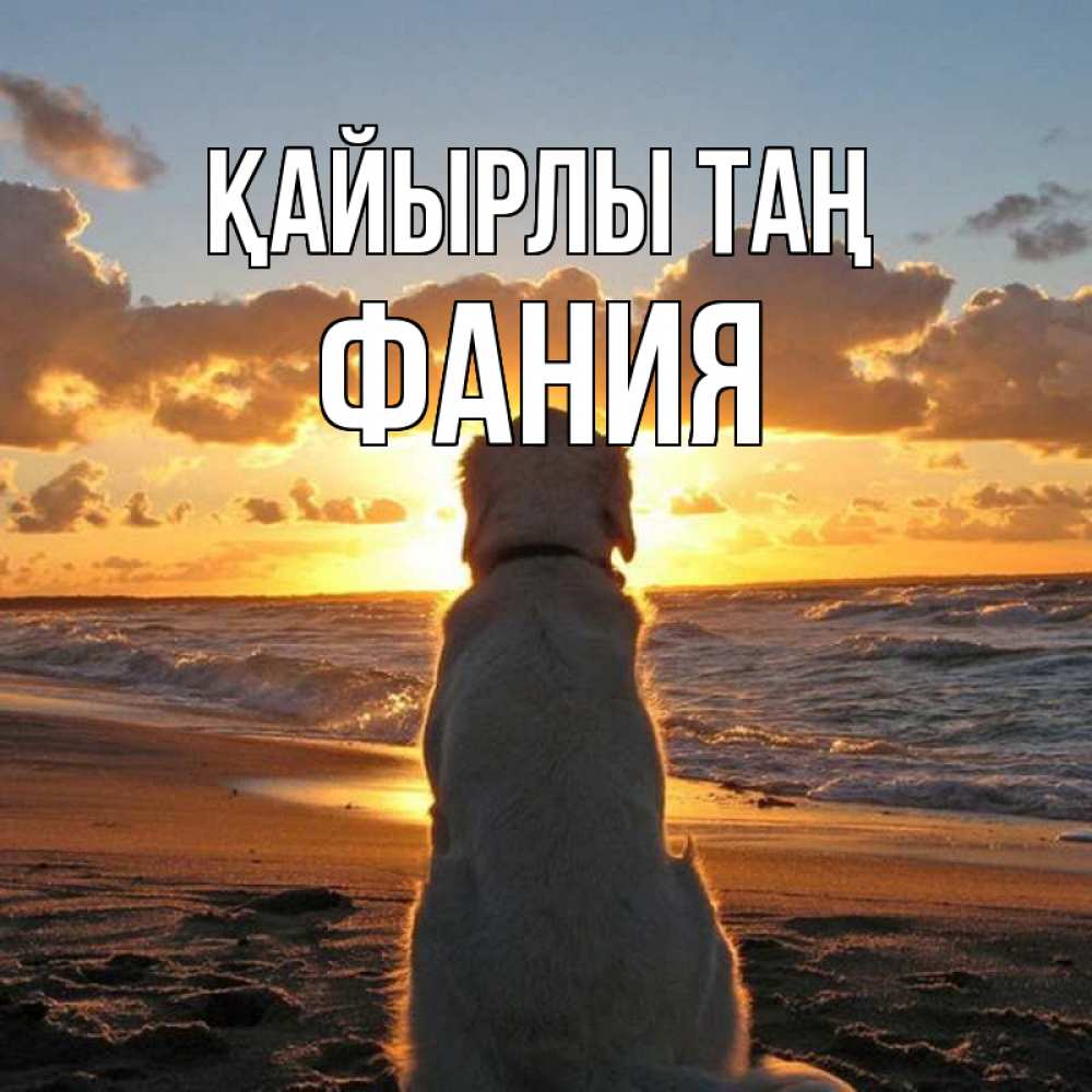 Күн сайын ашық хат с именем, Фания Қайырлы таң восход солнца Онлайн тегін жүктеп алу тілектері бар керемет карта 
