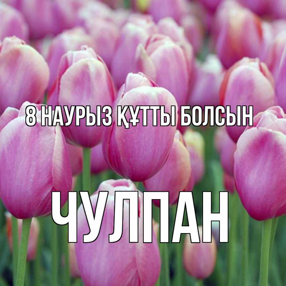 Күн сайын ашық хат с именем, Чулпан 8 наурыз құтты болсын на международный женский день 3 Онлайн тегін жүктеп алу тілектері бар керемет карта 