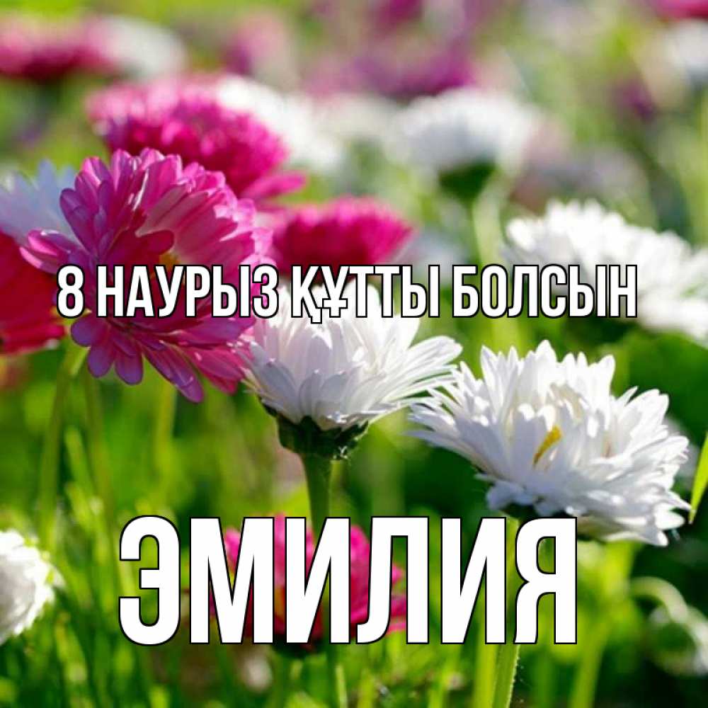 Күн сайын ашық хат с именем, Эмилия 8 наурыз құтты болсын международный женский день 1 Онлайн тегін жүктеп алу тілектері бар керемет карта 