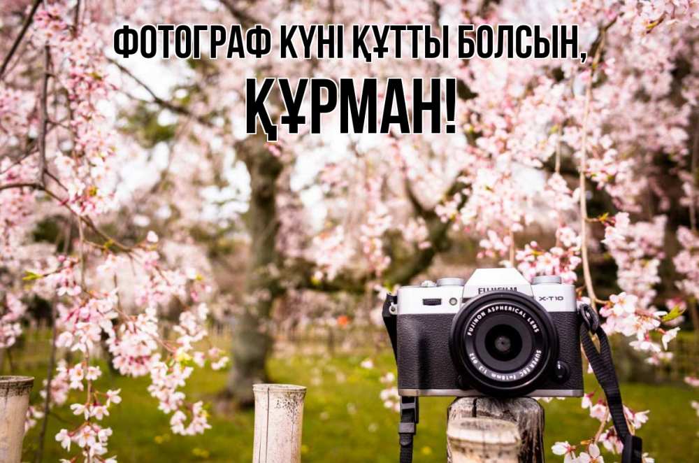 Күн сайын ашық хат с именем, ҚҰРМАН Фотограф күні құтты болсын сирень с днем фотографа, фотоаппарат Онлайн тегін жүктеп алу тілектері бар керемет карта 