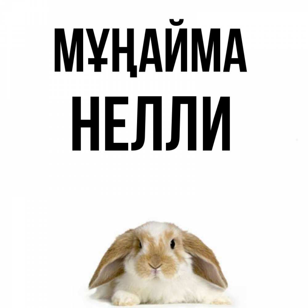Күн сайын ашық хат с именем, Нелли Мұңайма коричнево белый заяц с большими ушками Онлайн тегін жүктеп алу тілектері бар керемет карта 