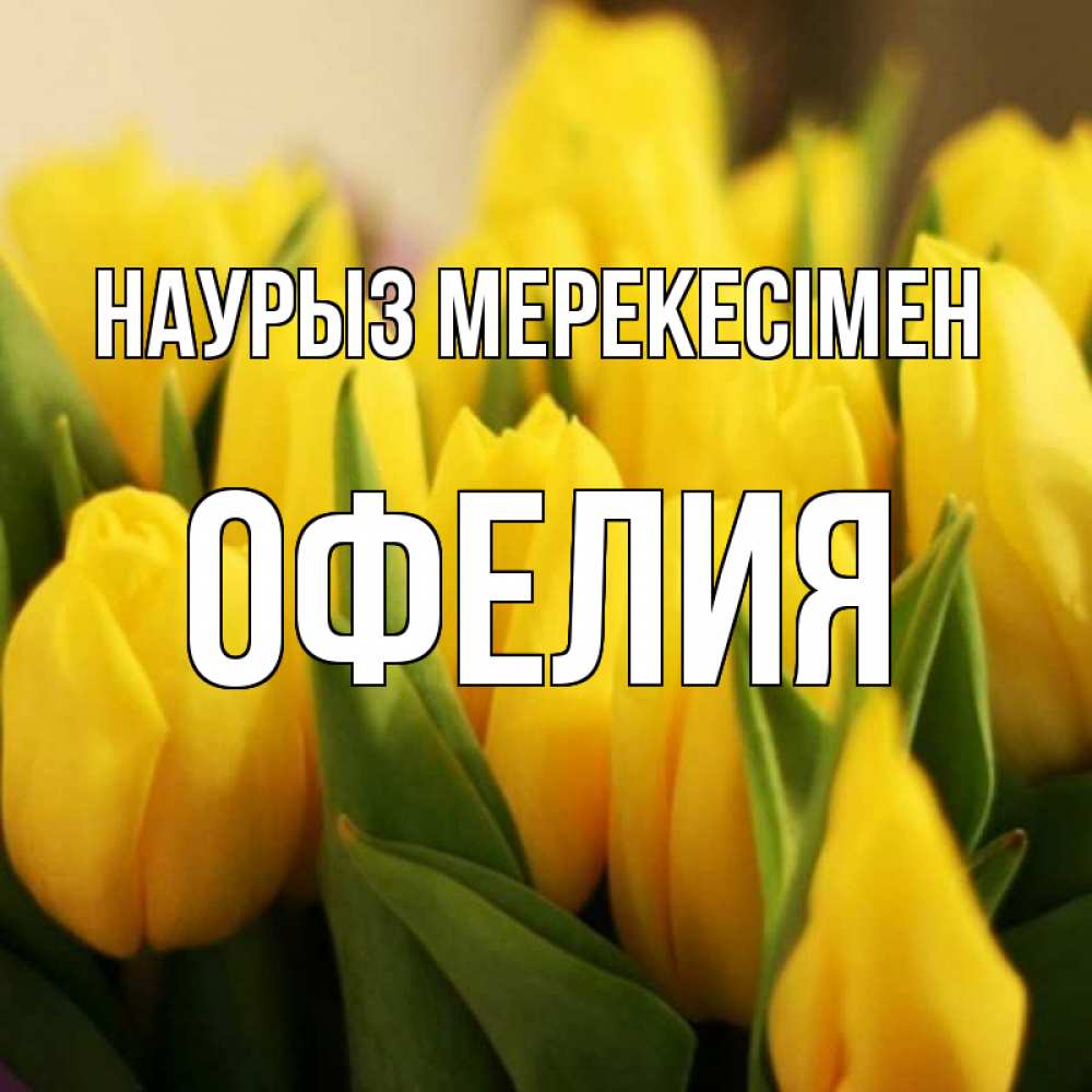 Күн сайын ашық хат с именем, Офелия Наурыз мерекесімен цветы Онлайн тегін жүктеп алу тілектері бар керемет карта 