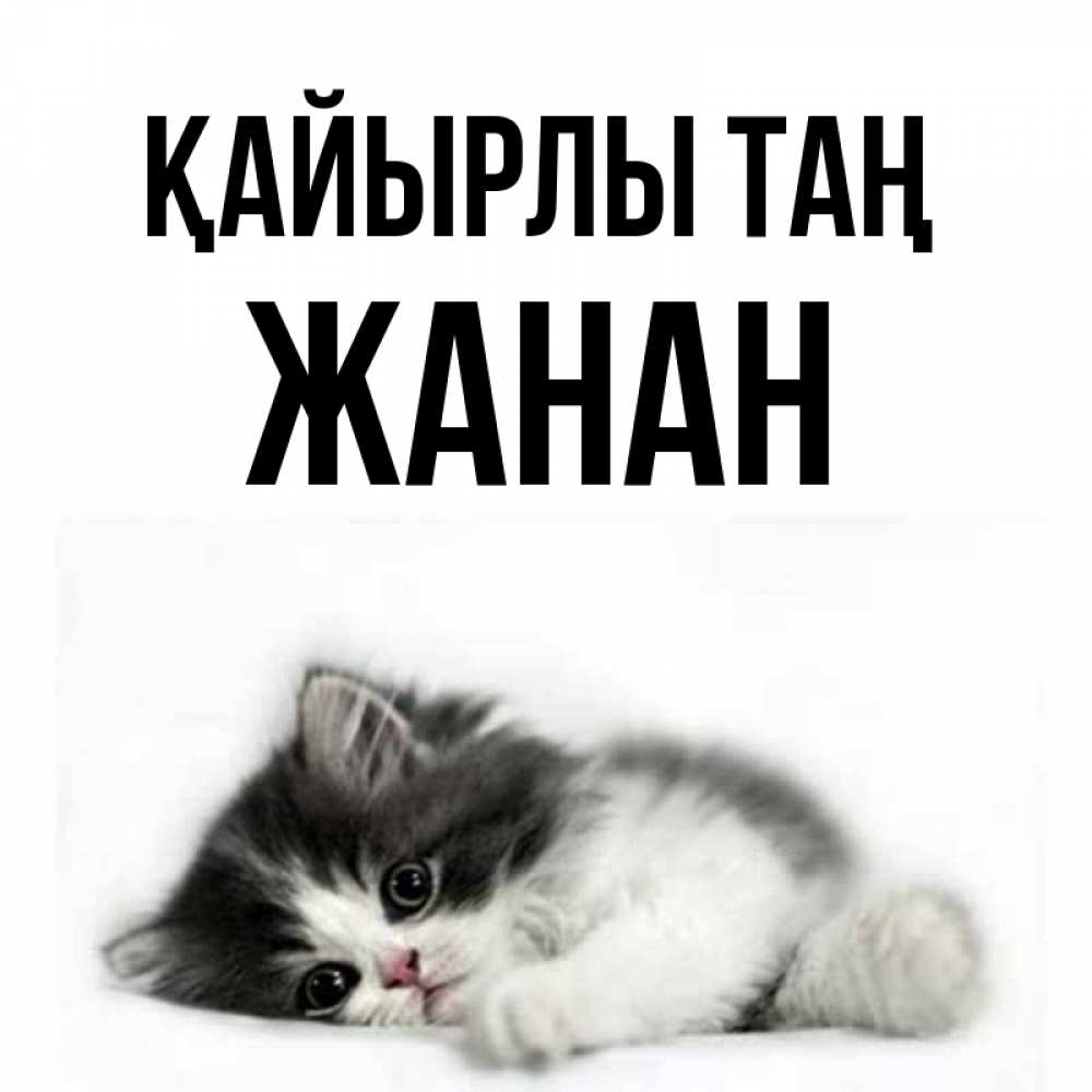 Күн сайын ашық хат с именем, ЖАНАН Қайырлы таң кот лапки Онлайн тегін жүктеп алу тілектері бар керемет карта 