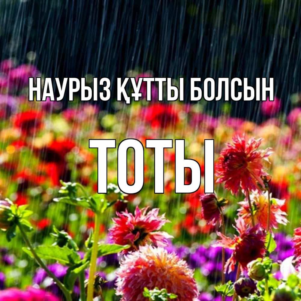 Күн сайын ашық хат с именем, ТОТЫ Наурыз құтты болсын цветы под дождиком к наурызу Онлайн тегін жүктеп алу тілектері бар керемет карта 