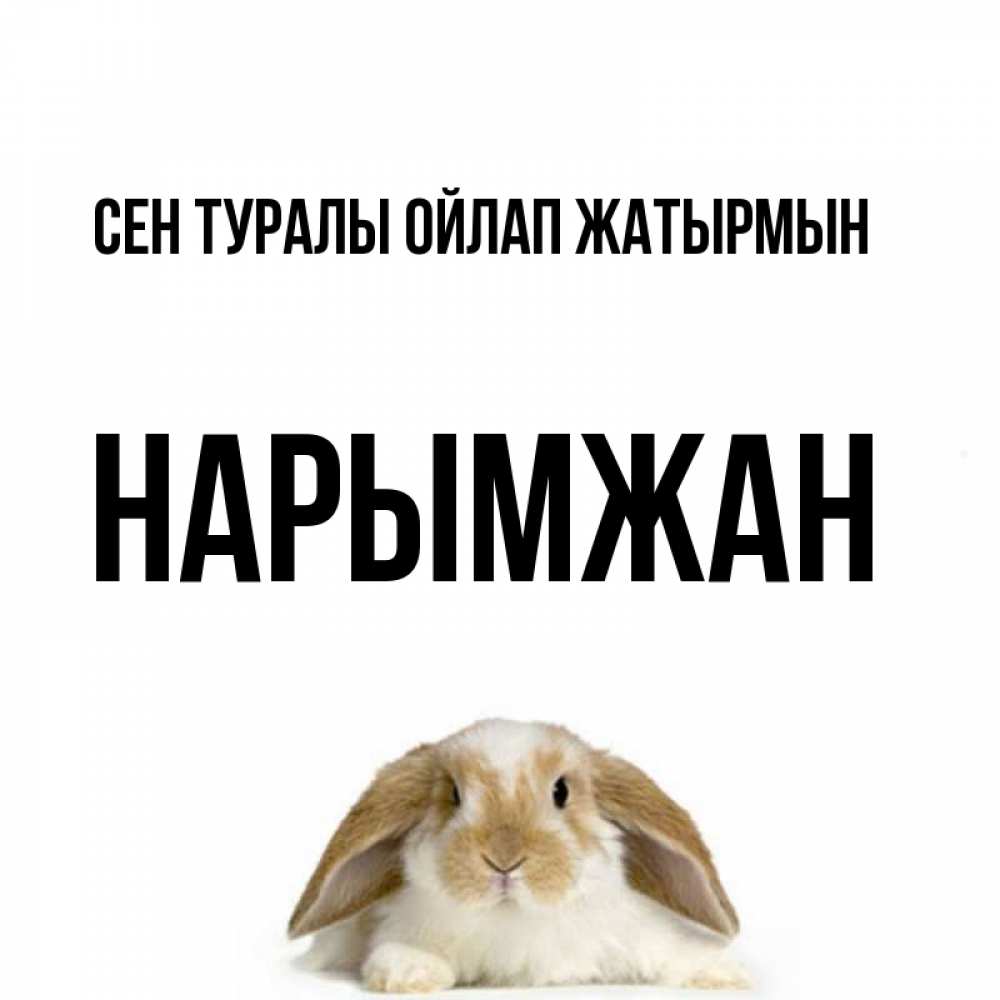 Күн сайын ашық хат с именем, НАРЫМЖАН Сен туралы ойлап жатырмын подписать своими руками онлайн Онлайн тегін жүктеп алу тілектері бар керемет карта 