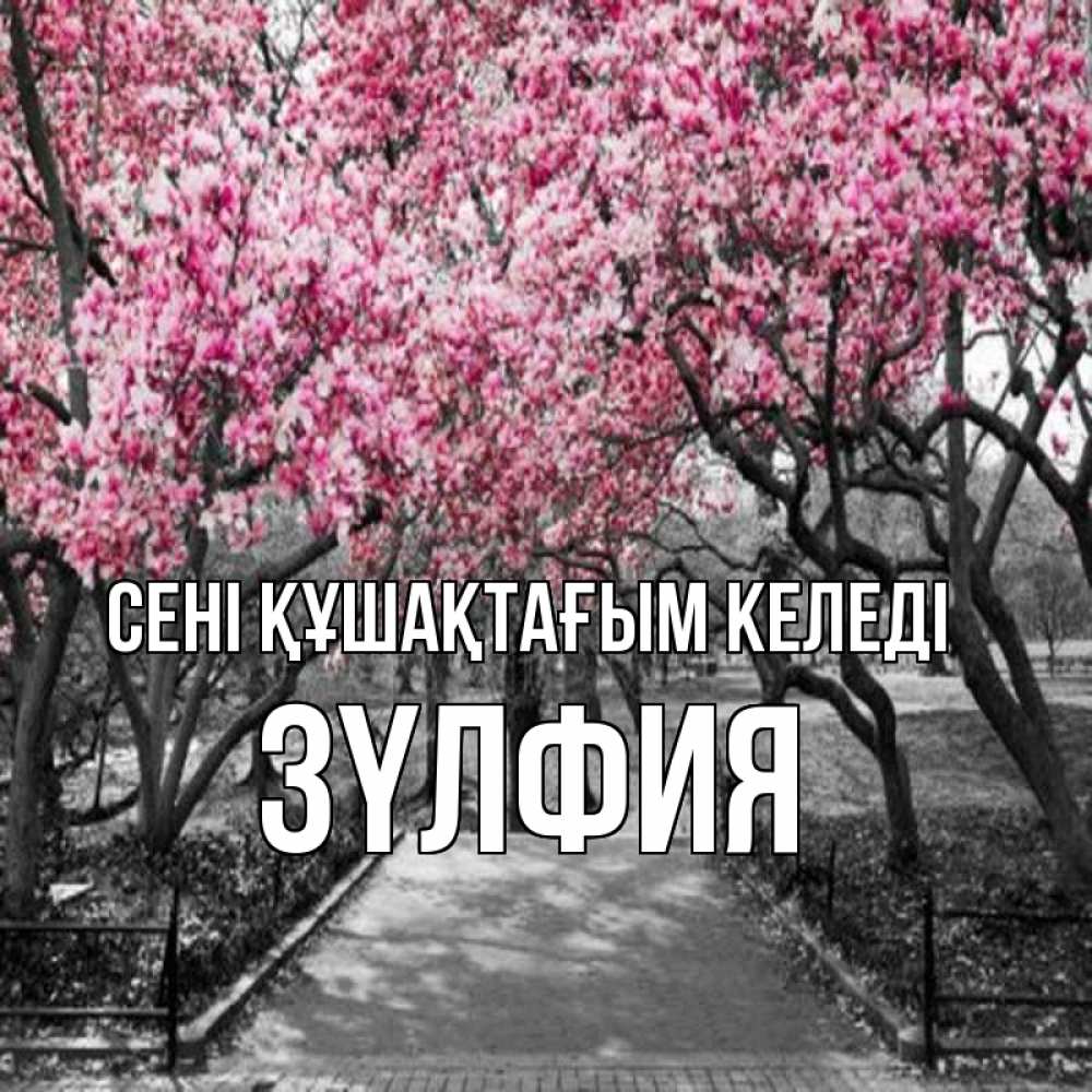 Күн сайын ашық хат с именем, ЗҮЛФИЯ сені құшақтағым келеді обработанное фото Онлайн тегін жүктеп алу тілектері бар керемет карта 