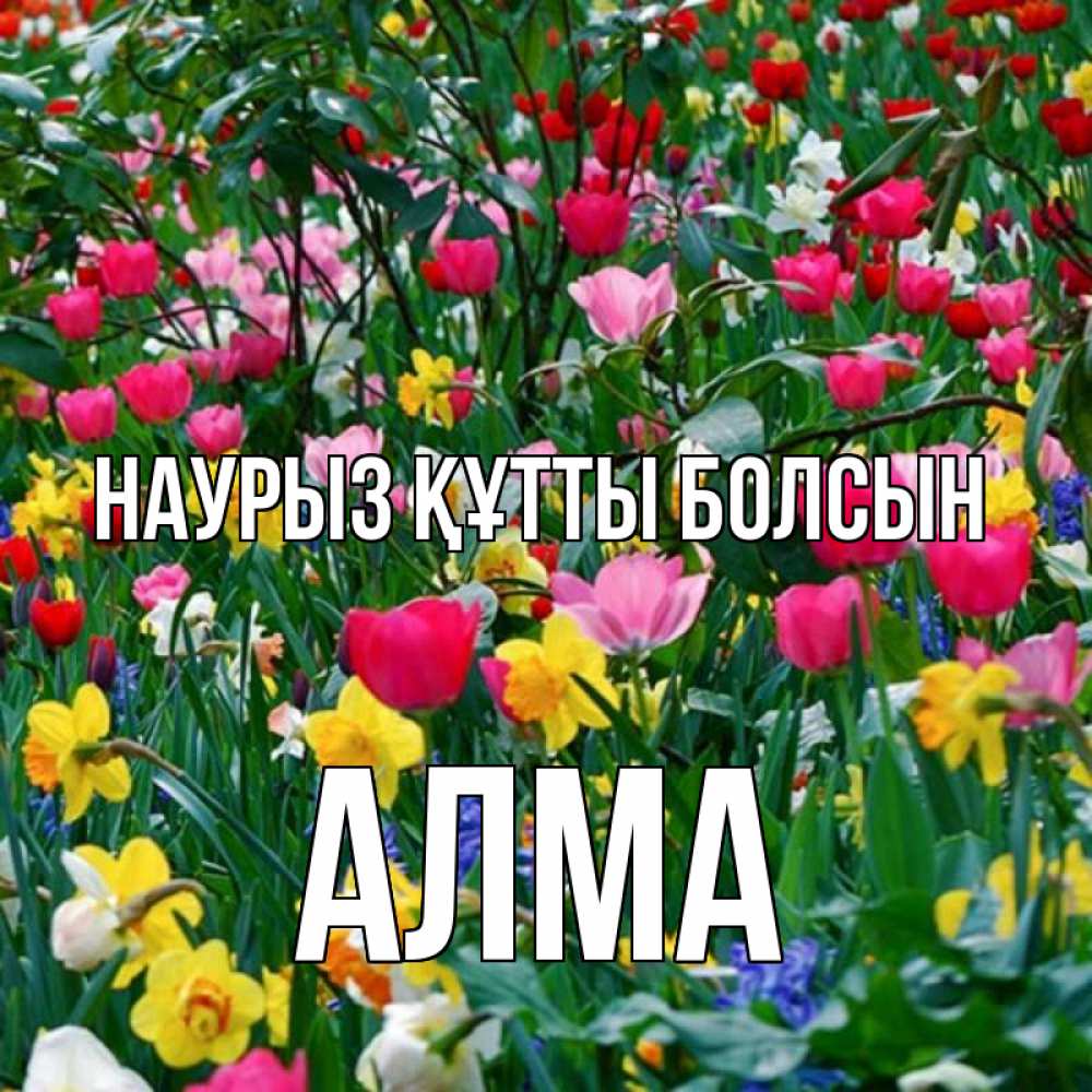 Күн сайын ашық хат с именем, АЛМА Наурыз құтты болсын с наурызом поздравления для женщины Онлайн тегін жүктеп алу тілектері бар керемет карта 