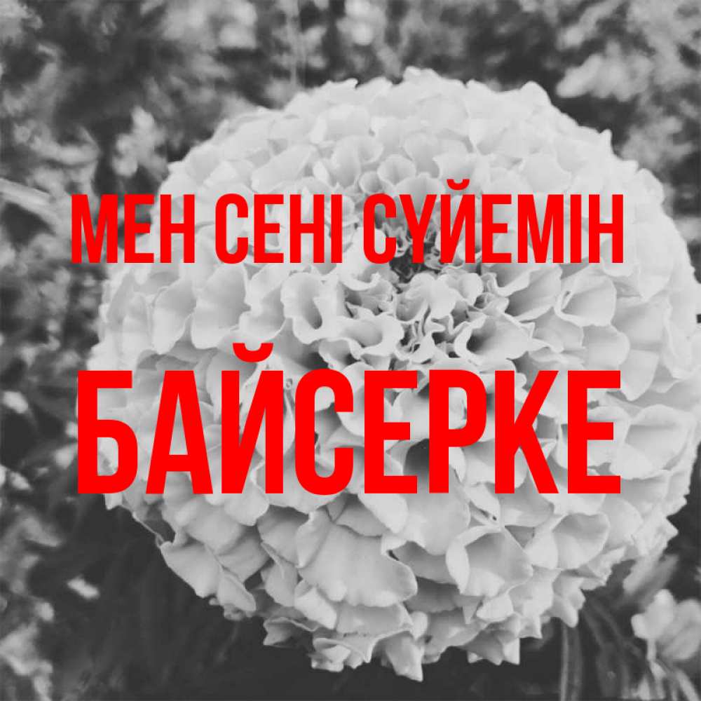 Күн сайын ашық хат с именем, Байсерке Мен сені сүйемін подпись Онлайн тегін жүктеп алу тілектері бар керемет карта 