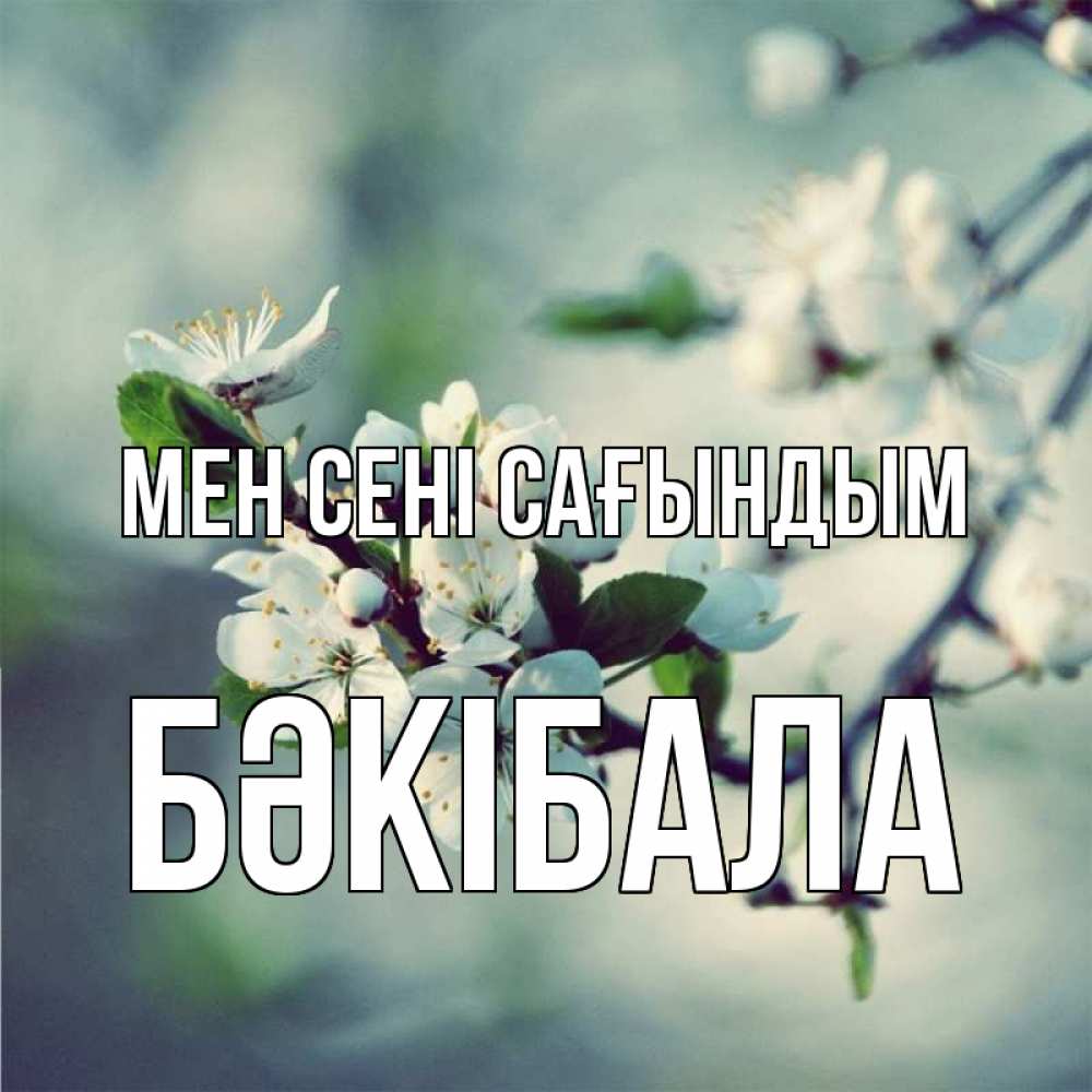 Күн сайын ашық хат с именем, БӘКІБАЛА Мен сені сағындым весна Онлайн тегін жүктеп алу тілектері бар керемет карта 