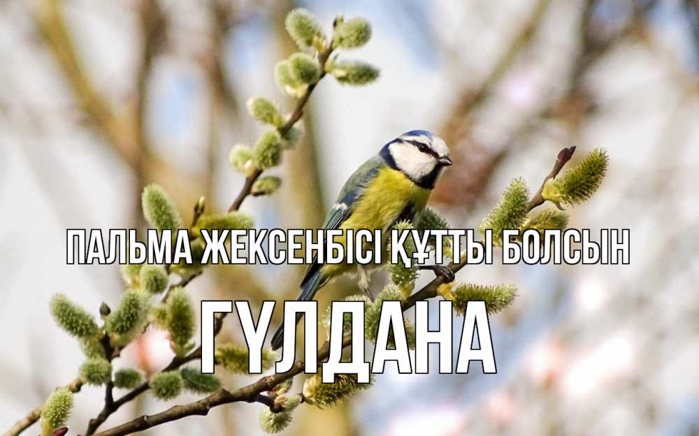 Күн сайын ашық хат с именем, ГҮЛДАНА Пальма жексенбісі құтты болсын верба Онлайн тегін жүктеп алу тілектері бар керемет карта 