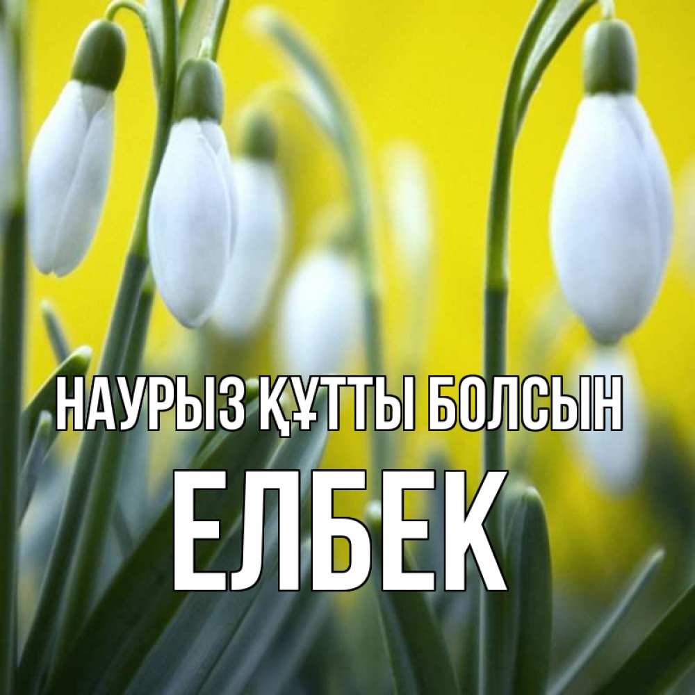 Күн сайын ашық хат с именем, Елбек Наурыз құтты болсын весенние цветы Онлайн тегін жүктеп алу тілектері бар керемет карта 