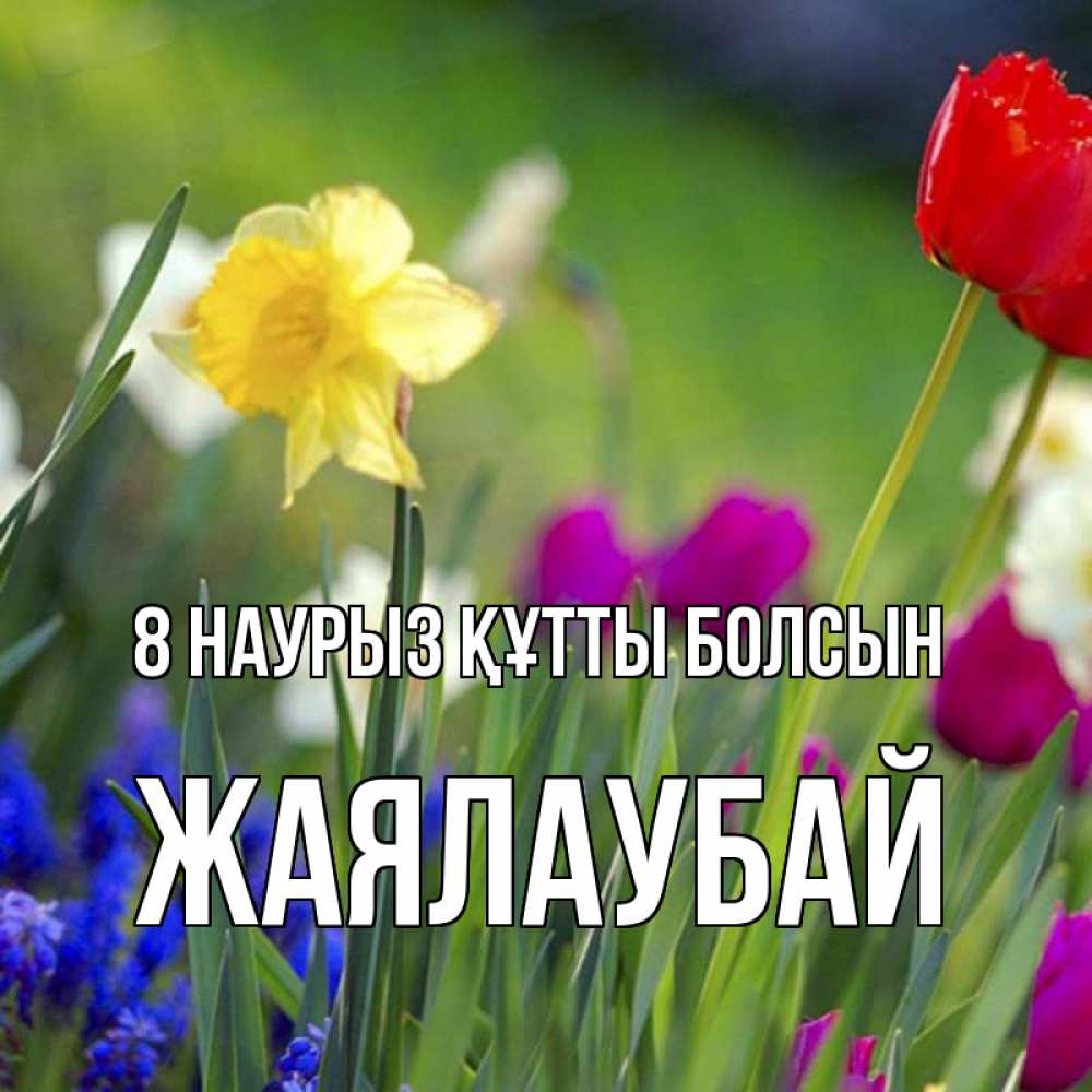 Күн сайын ашық хат с именем, Жаялаубай 8 наурыз құтты болсын международный женский день 3 Онлайн тегін жүктеп алу тілектері бар керемет карта 