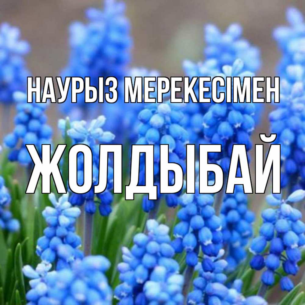 Күн сайын ашық хат с именем, Жолдыбай Наурыз мерекесімен Поздравительная открытка для женщин с цветами на праздничную дату Онлайн тегін жүктеп алу тілектері бар керемет карта 