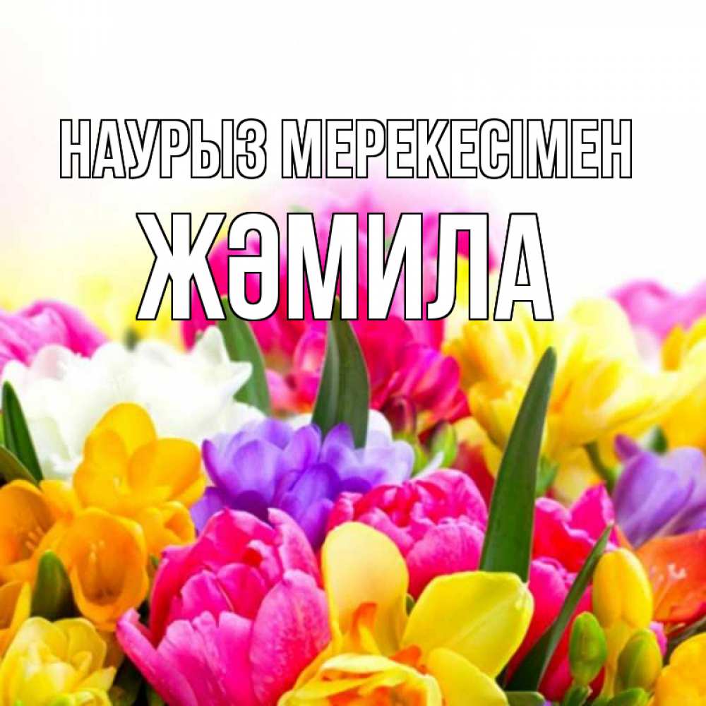 Күн сайын ашық хат с именем, ЖӘМИЛА Наурыз мерекесімен тюльпаны Онлайн тегін жүктеп алу тілектері бар керемет карта 