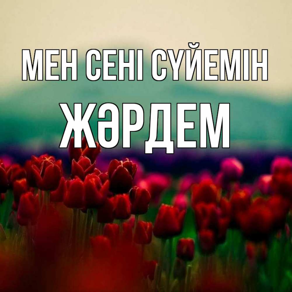 Күн сайын ашық хат с именем, Жәрдем Мен сені сүйемін тюльпаны 4 Онлайн тегін жүктеп алу тілектері бар керемет карта 