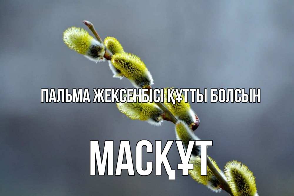 Күн сайын ашық хат с именем, МАСҚҰТ Пальма жексенбісі құтты болсын верба Онлайн тегін жүктеп алу тілектері бар керемет карта 