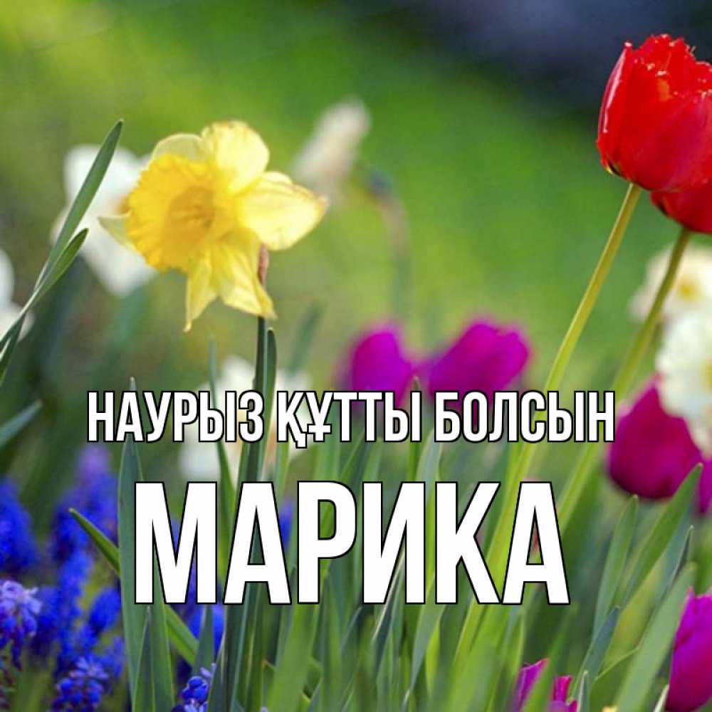 Күн сайын ашық хат с именем, Марика Наурыз құтты болсын наурыз  3 открытки Онлайн тегін жүктеп алу тілектері бар керемет карта 