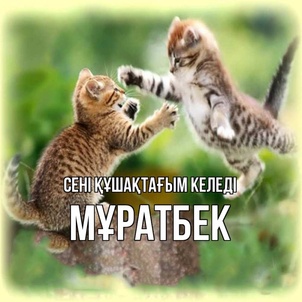 Күн сайын ашық хат с именем, Мұратбек сені құшақтағым келеді игры котят Онлайн тегін жүктеп алу тілектері бар керемет карта 