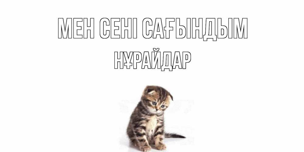 Күн сайын ашық хат с именем, НҰРАЙДАР Мен сені сағындым кот Онлайн тегін жүктеп алу тілектері бар керемет карта 