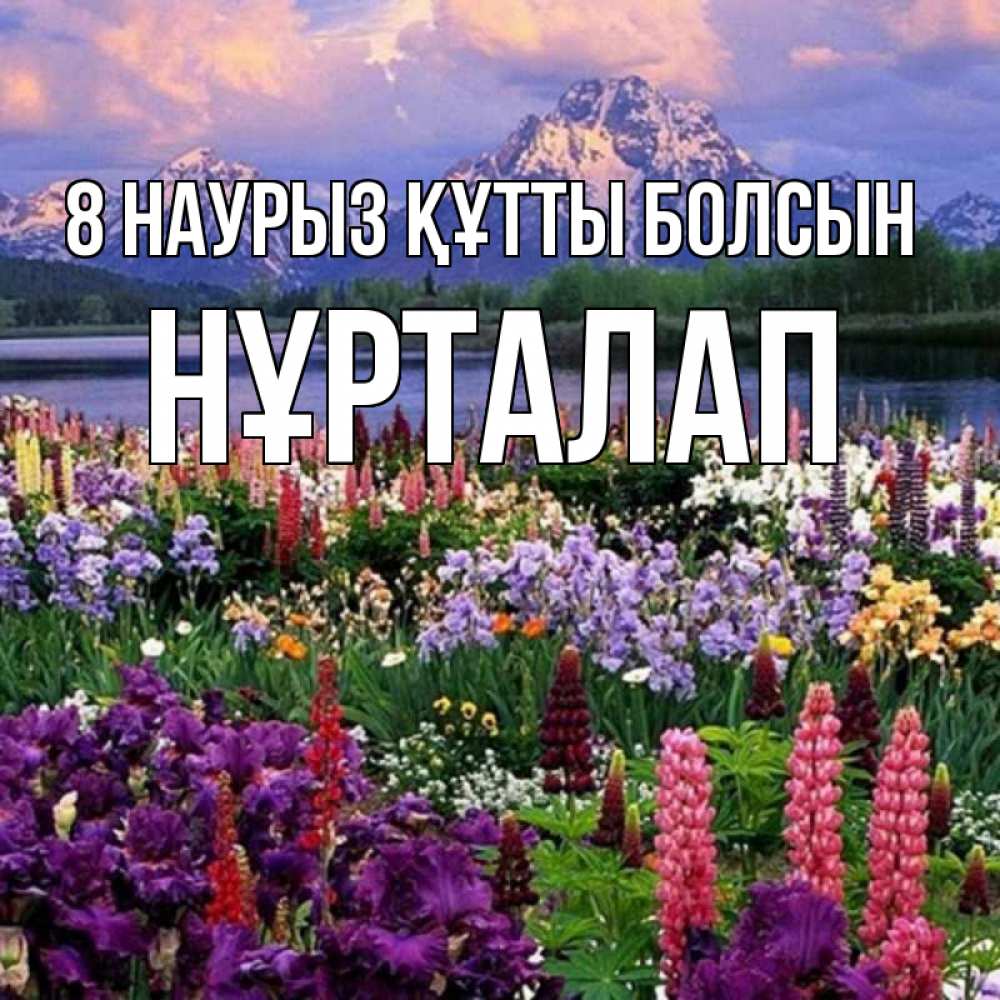 Күн сайын ашық хат с именем, НҰРТАЛАП 8 наурыз құтты болсын международный женский день Онлайн тегін жүктеп алу тілектері бар керемет карта 
