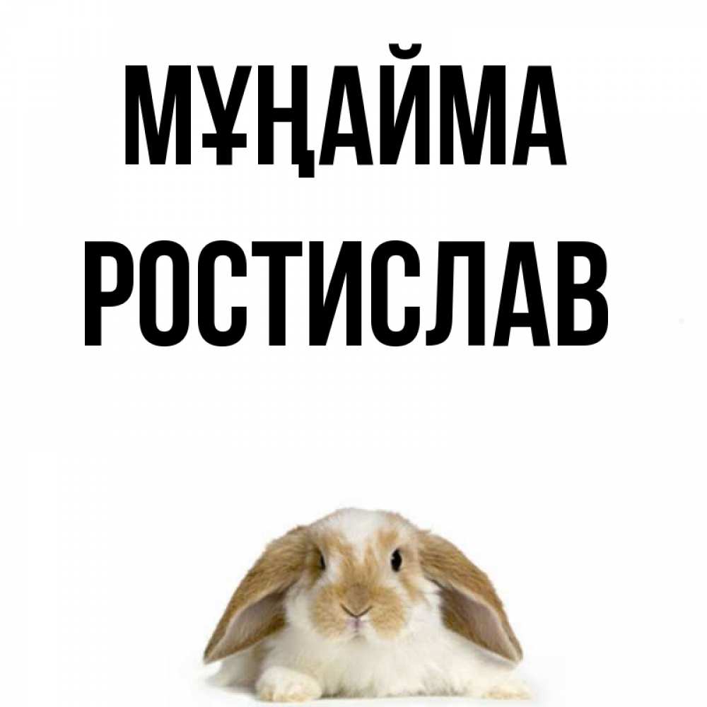 Күн сайын ашық хат с именем, Ростислав Мұңайма коричнево белый заяц с большими ушками Онлайн тегін жүктеп алу тілектері бар керемет карта 