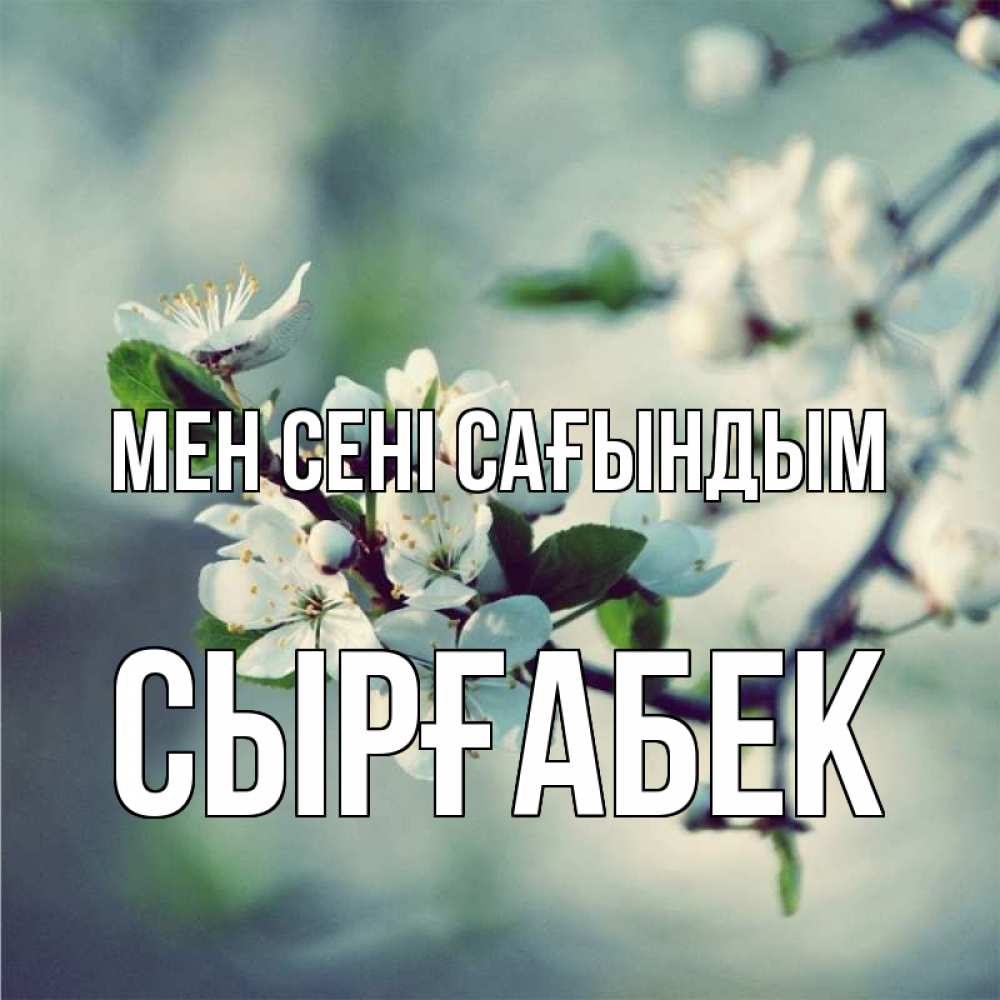 Күн сайын ашық хат с именем, СЫРҒАБЕК Мен сені сағындым весна Онлайн тегін жүктеп алу тілектері бар керемет карта 
