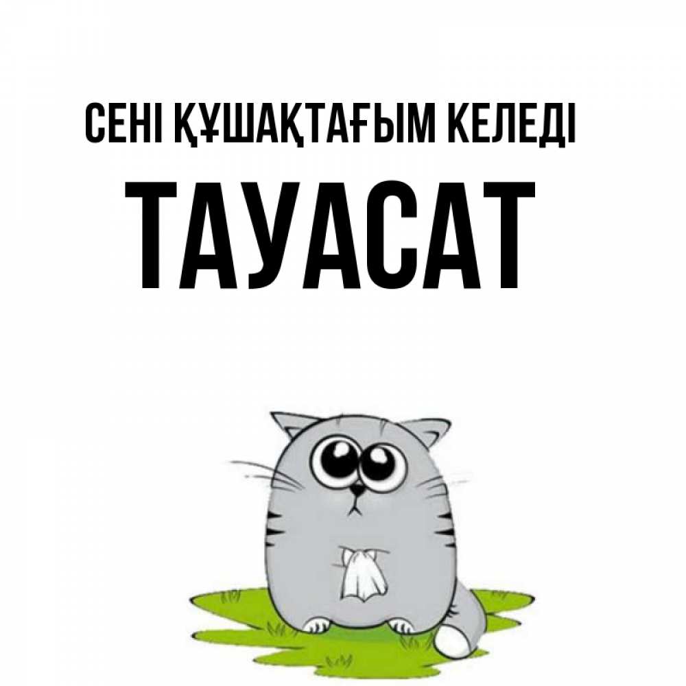 Күн сайын ашық хат с именем, ТАУАСАТ сені құшақтағым келеді котик теребит платочек сидя на травке Онлайн тегін жүктеп алу тілектері бар керемет карта 