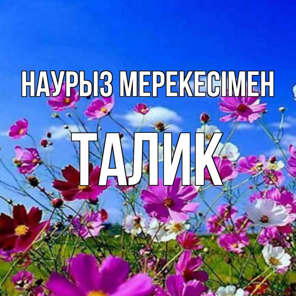 Күн сайын ашық хат с именем, Талик Наурыз мерекесімен цветы Онлайн тегін жүктеп алу тілектері бар керемет карта 