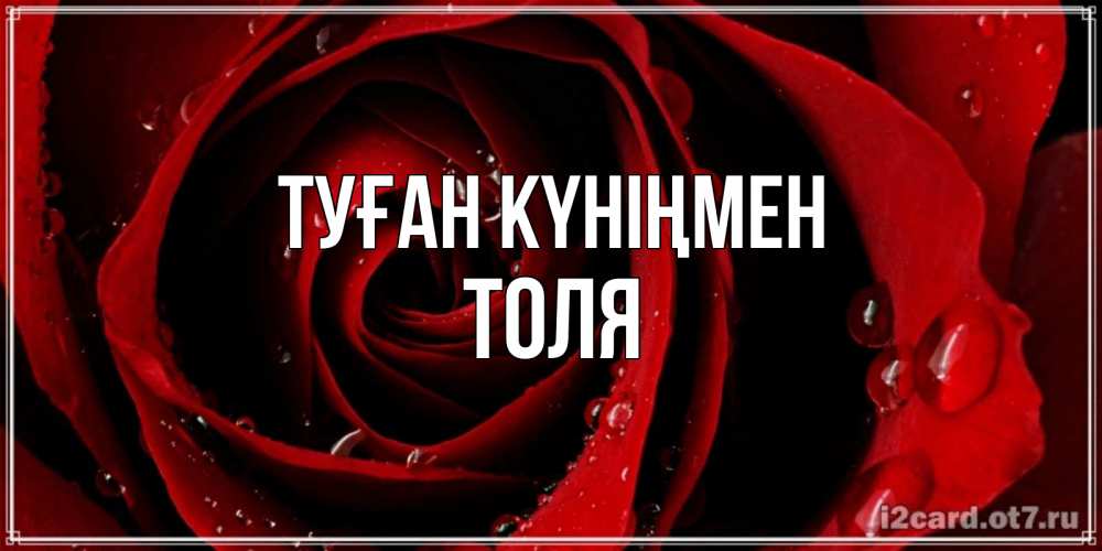 Күн сайын ашық хат с именем, Толя Туған күніңмен крупная бордовая роза Онлайн тегін жүктеп алу тілектері бар керемет карта 