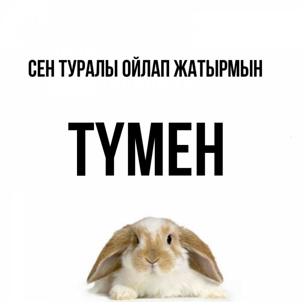 Күн сайын ашық хат с именем, ТҮМЕН Сен туралы ойлап жатырмын подписать своими руками онлайн Онлайн тегін жүктеп алу тілектері бар керемет карта 