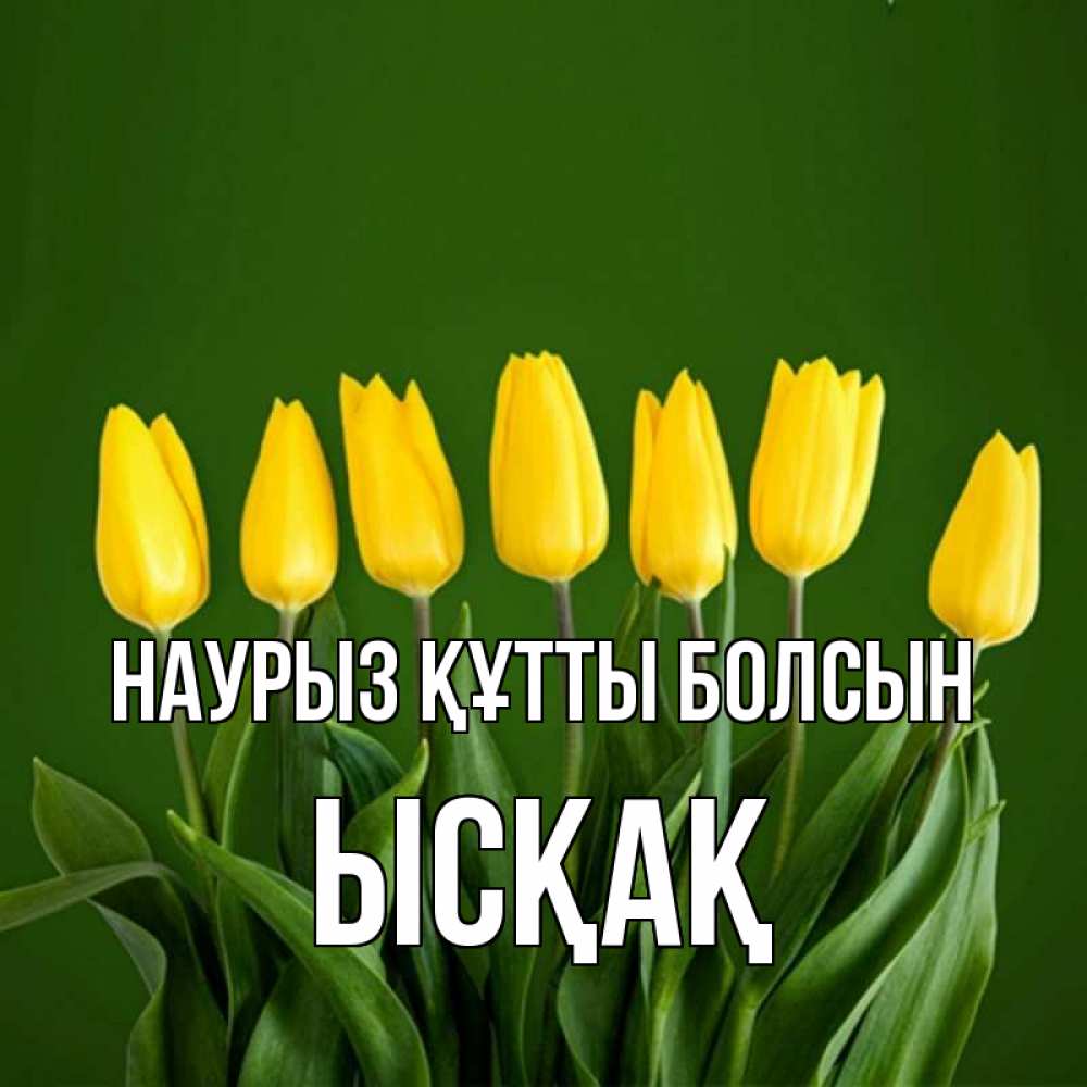 Күн сайын ашық хат с именем, ЫСҚАҚ Наурыз құтты болсын желтого цвета 3 Онлайн тегін жүктеп алу тілектері бар керемет карта 