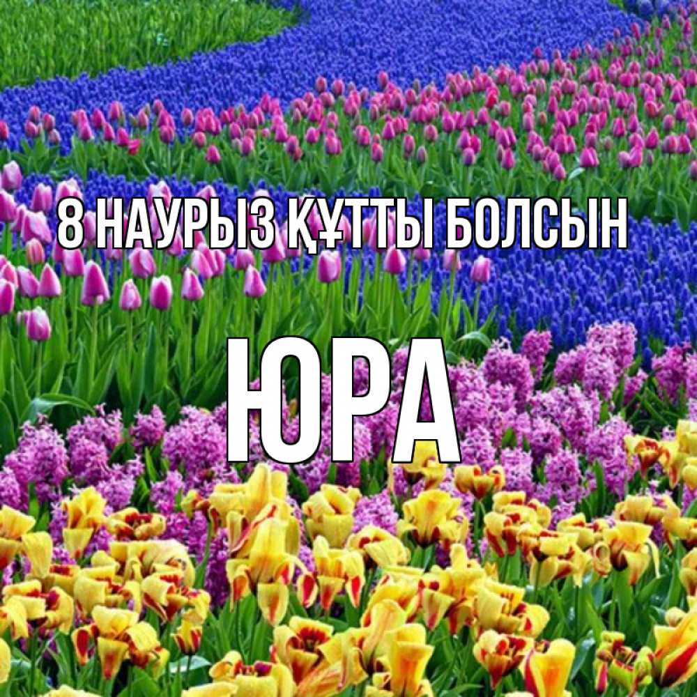Күн сайын ашық хат с именем, Юра 8 наурыз құтты болсын цветы Онлайн тегін жүктеп алу тілектері бар керемет карта 