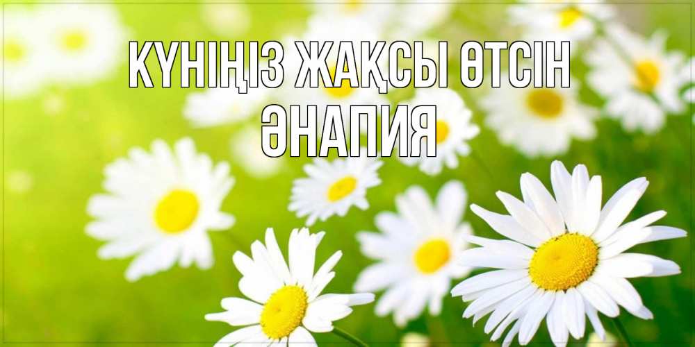 Күн сайын ашық хат с именем, ӘНАПИЯ Күніңіз жақсы өтсін открытка с ромашками на зеленом фоне Онлайн тегін жүктеп алу тілектері бар керемет карта 