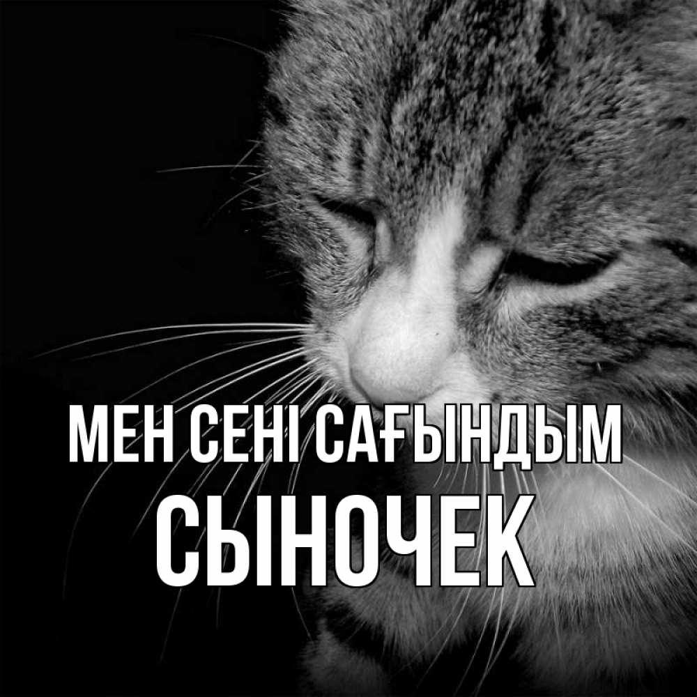 Күн сайын ашық хат с именем, Сыночек Мен сені сағындым мне скучно Онлайн тегін жүктеп алу тілектері бар керемет карта 