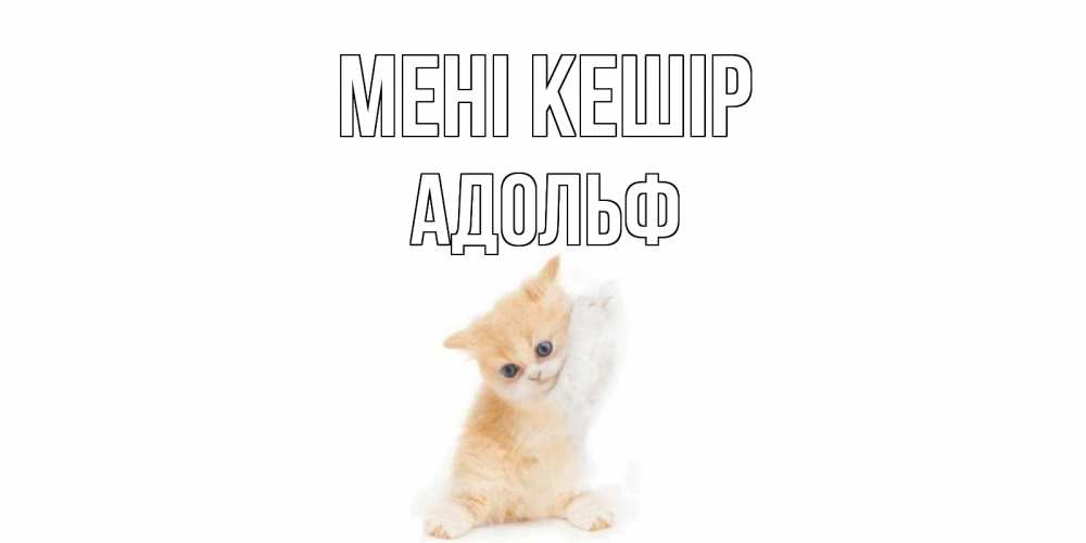 Күн сайын ашық хат с именем, Адольф Мені кешір кот Онлайн тегін жүктеп алу тілектері бар керемет карта 