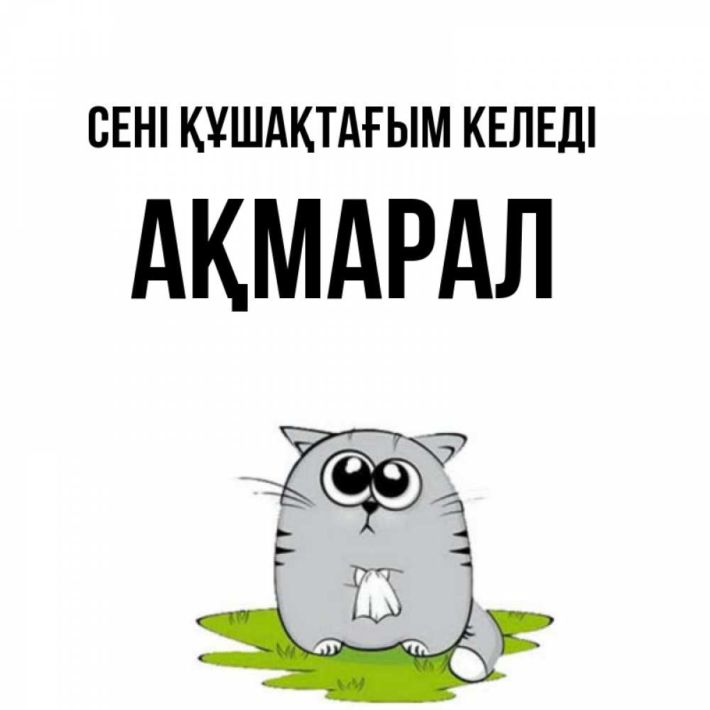 Күн сайын ашық хат с именем, АҚМАРАЛ сені құшақтағым келеді котик теребит платочек сидя на травке Онлайн тегін жүктеп алу тілектері бар керемет карта 