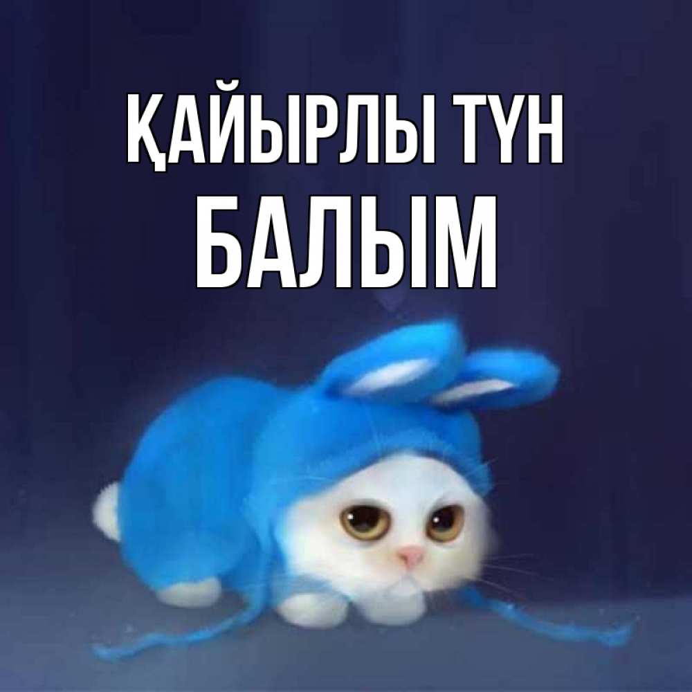 Күн сайын ашық хат с именем, БАЛЫМ Қайырлы түн кот в голубом костюме кролика с ушками Онлайн тегін жүктеп алу тілектері бар керемет карта 