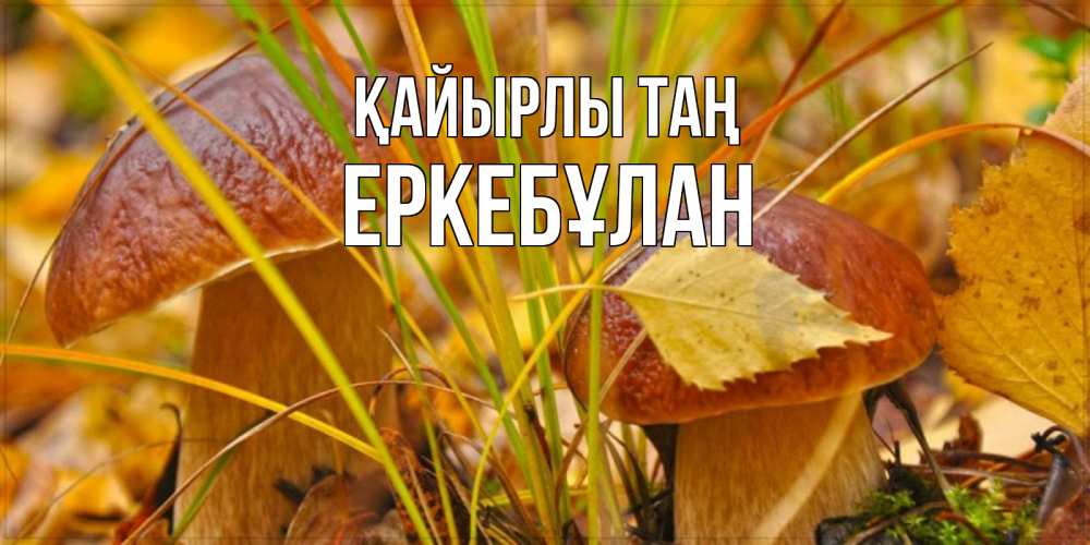Күн сайын ашық хат с именем, Еркебұлан Қайырлы таң осенние грибы Онлайн тегін жүктеп алу тілектері бар керемет карта 