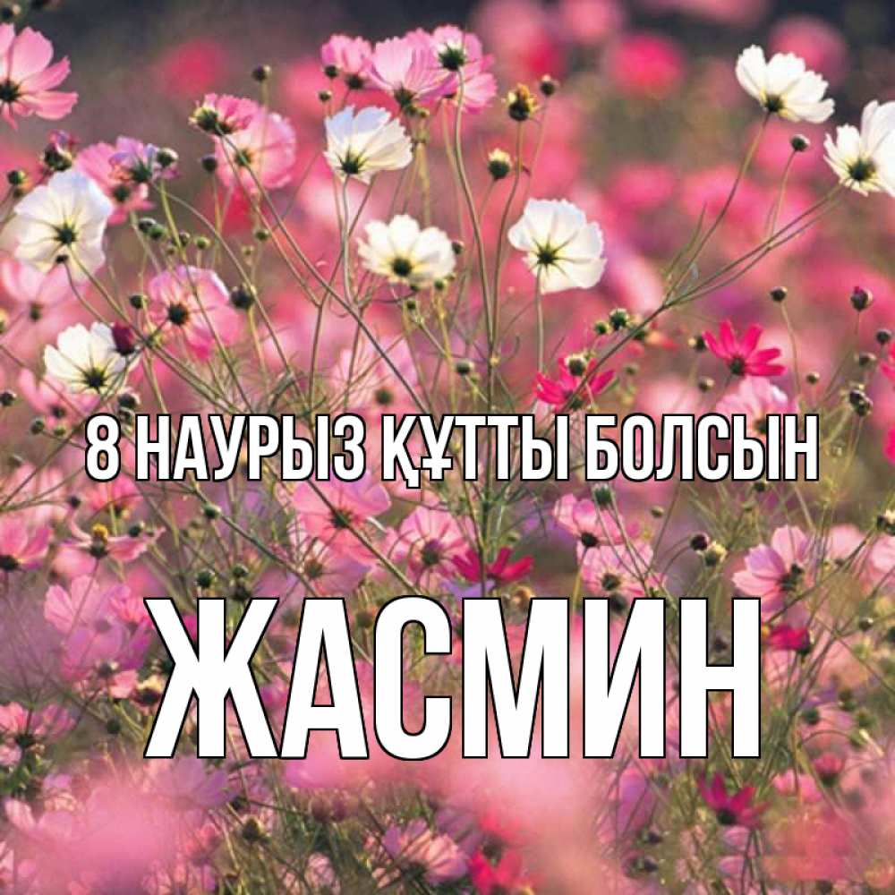 Күн сайын ашық хат с именем, Жасмин 8 наурыз құтты болсын красиво 1 Онлайн тегін жүктеп алу тілектері бар керемет карта 