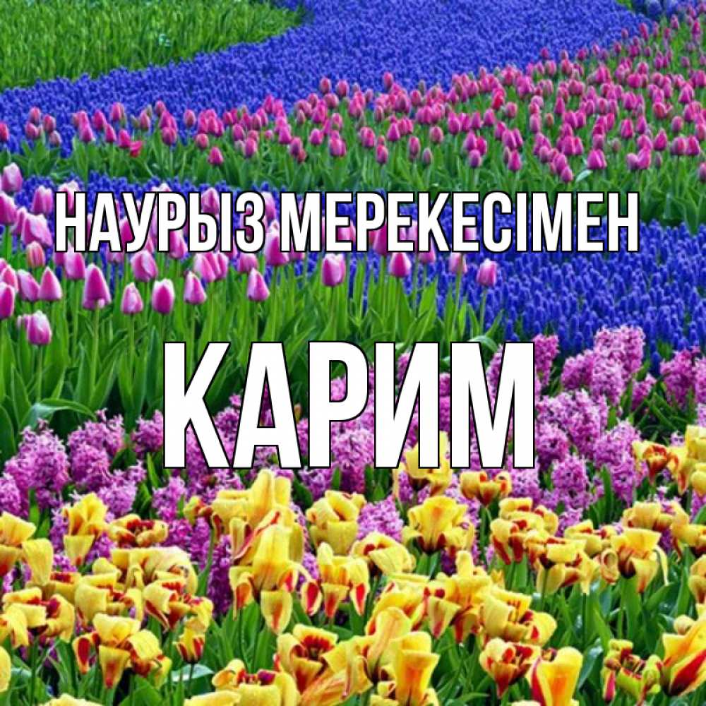 Күн сайын ашық хат с именем, Карим Наурыз мерекесімен цветы Онлайн тегін жүктеп алу тілектері бар керемет карта 