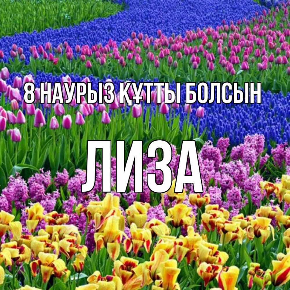 Күн сайын ашық хат с именем, Лиза 8 наурыз құтты болсын цветы Онлайн тегін жүктеп алу тілектері бар керемет карта 